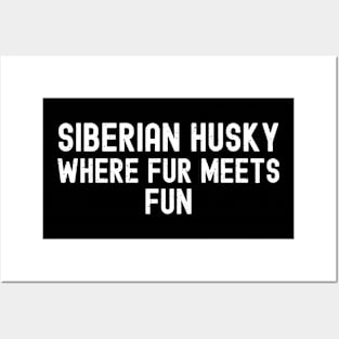 Siberian Husky Where Fur Meets Fun Posters and Art